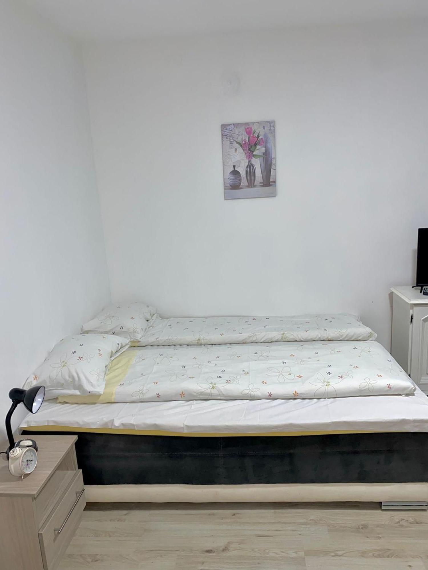 Apartman Bogdan ชาชาค ภายนอก รูปภาพ